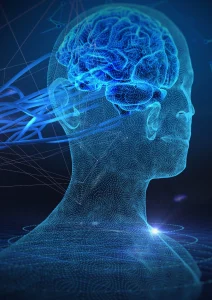 Lire la suite à propos de l’article L&rsquo;apport des neurosciences à notre vie quotidienne