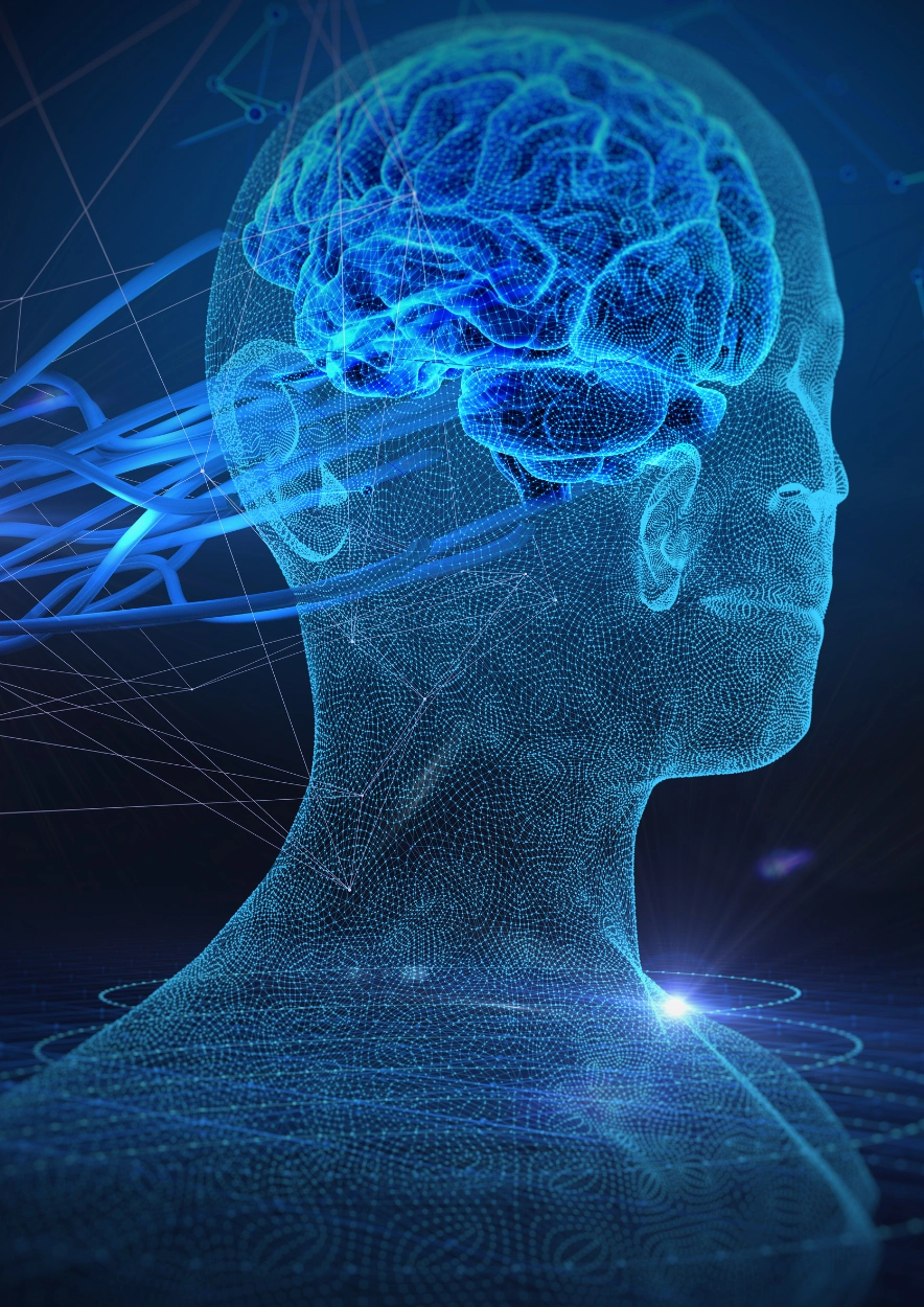 You are currently viewing L&rsquo;apport des neurosciences à notre vie quotidienne