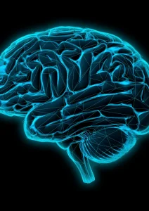 Lire la suite à propos de l’article Les neurosciences et la psychothérapie : Comment comprendre et traiter les troubles mentaux à la lumière des dernières recherches