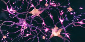 Lire la suite à propos de l’article La neuroplasticité dans la guérison : Comment aider les patients à reprogrammer leur cerveau pour surmonter les défis